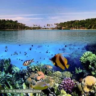 蓝色海底世界 蓝色海底世界