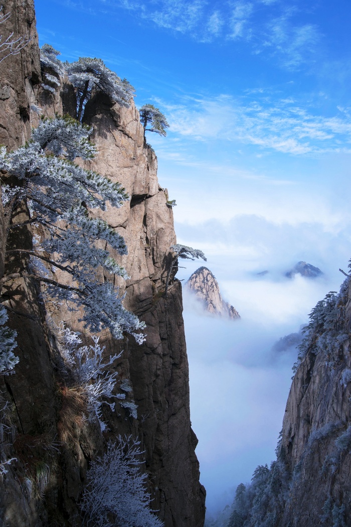 安徽黄山雪景树挂图片-第8张