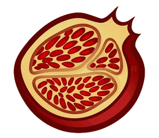 卡通石榴简笔画