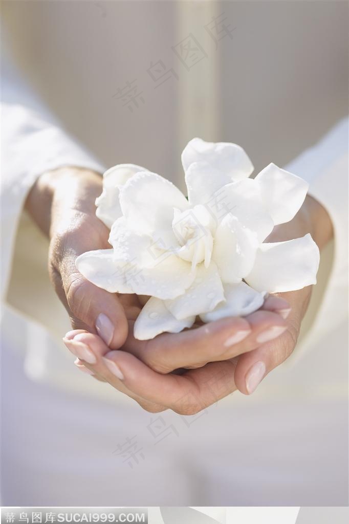 人物手势元素-手捧鲜花手势特写