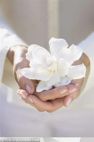 人物手势元素-手捧鲜花手势特写