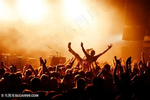 炫彩演唱会现场欢呼的人群