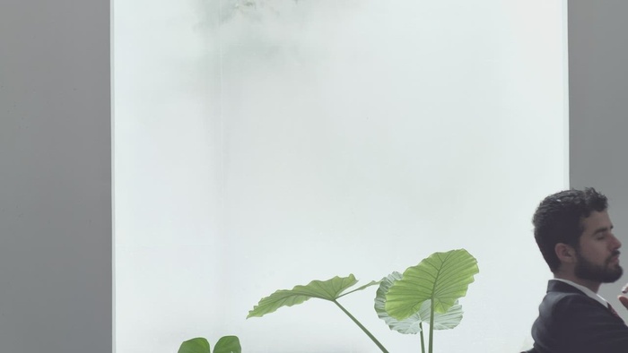 女人在办公室审查几个员工的工作