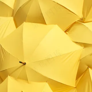 天堂雨伞黄色图片 天堂雨伞黄色图片