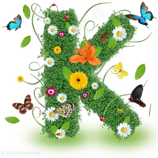 精美植物花朵字母K设计高清图片