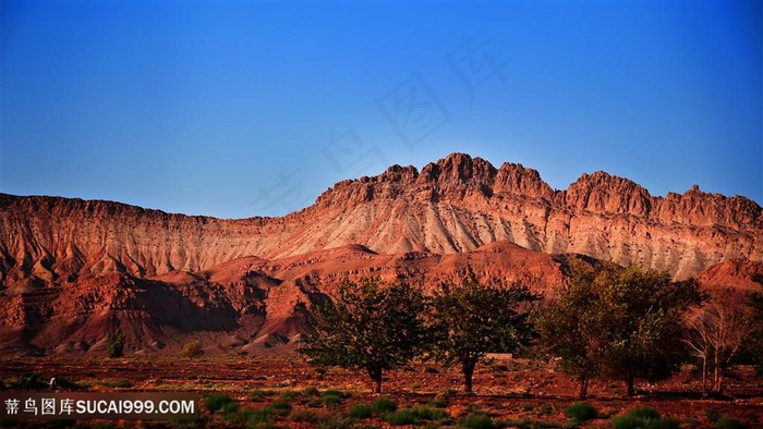 巍峨山脉大树风景画壁纸