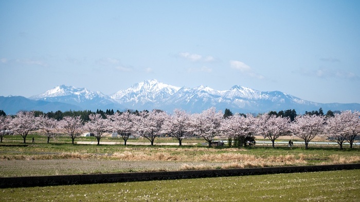 冬天自然背景风景