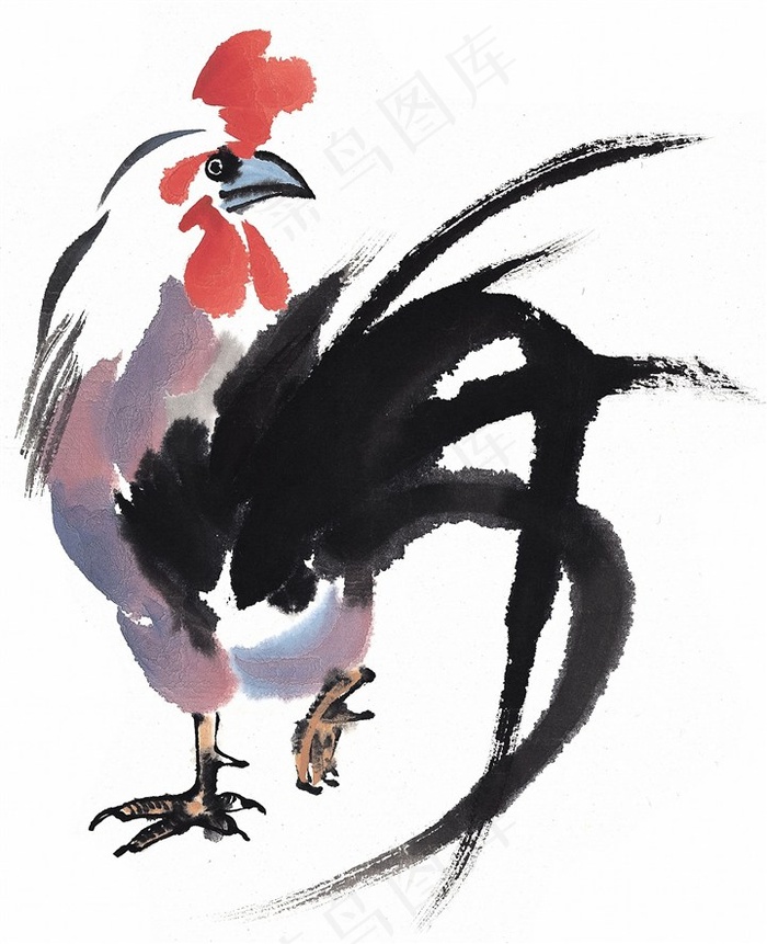 家畜欣赏摄影图片