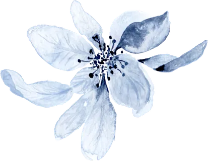 海军蓝金线水彩花卉素材 海军蓝金线水彩花卉素材