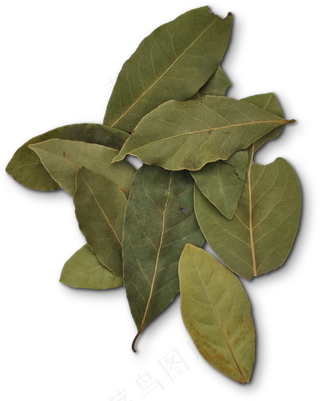 41食材|厨房|食品|百货|美食|免扣