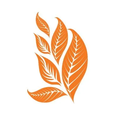 烟草PNG免抠(392x394)