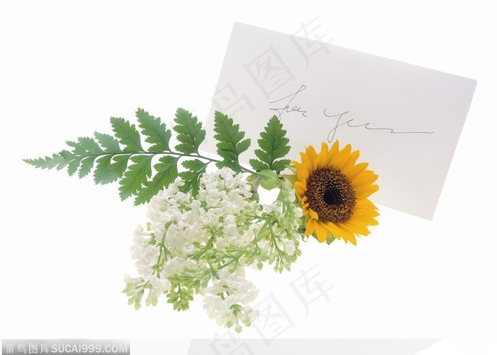 花饰小品-信纸上的花朵