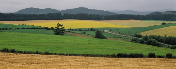 J147-67-大幅风景99