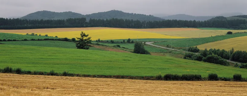 J147-67-大幅风景99 J147-67-大幅风景99