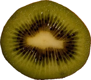 猕猴桃免抠素材 (18)