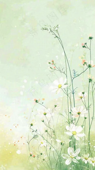 清新白色小花春天萌芽手绘，春分