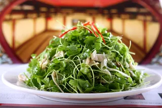 L01320脆笋山叶香3