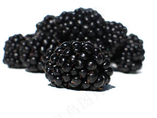 水果鲜水果黑莓免抠素材