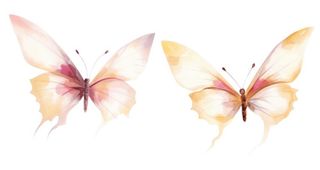 水彩粉色蝴蝶元素