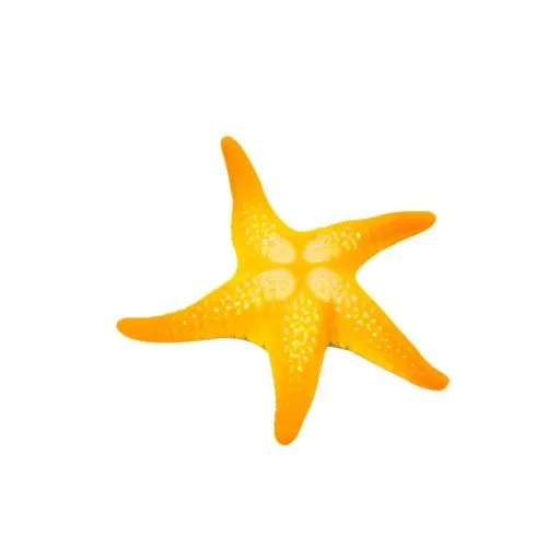海星海洋免抠(2048x2048)