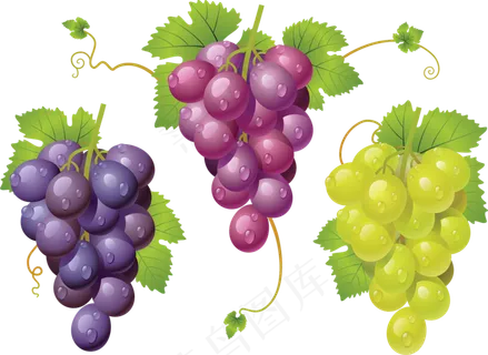 葡萄免抠素材 (56)