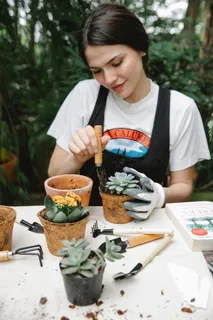 外国美女在用园艺工具整理绿色植物