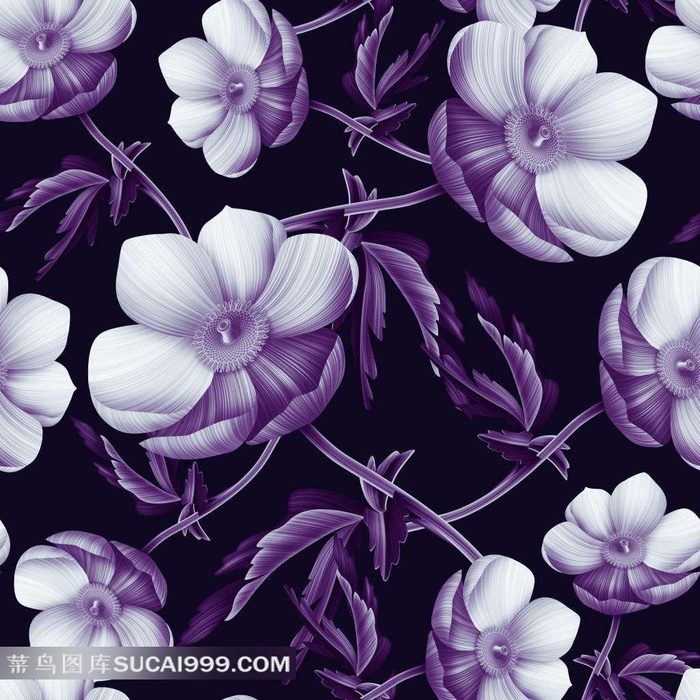 美丽的鲜花花卉背景