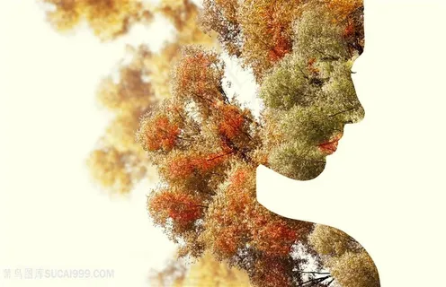 植物人物剪影侧脸创意高清图片 植物人物剪影侧脸创意高清图片