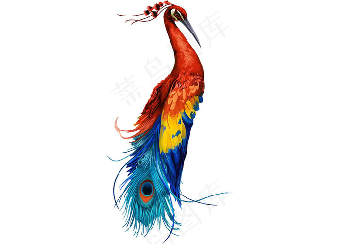 百鸟之王  孔雀