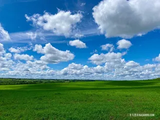 蓝天白云草地图片