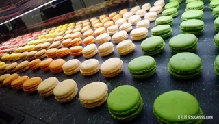 批量生产的美味糕点马卡龙摄影糕点图片