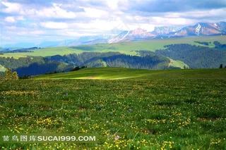 新疆喀拉峻草原优美风光素材