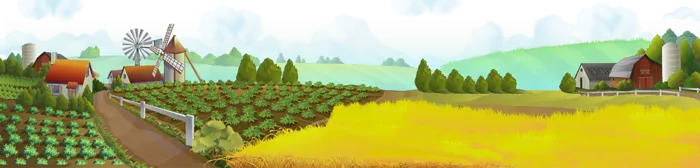 现代农业菜地
