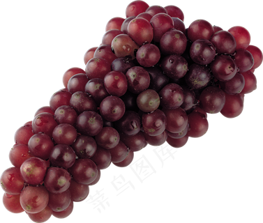 葡萄免抠素材 (19)