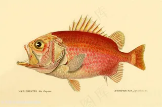 时尚复古中式彩绘鱼插画