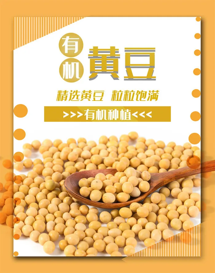 黄色黄豆推广海报素材psd模版下载