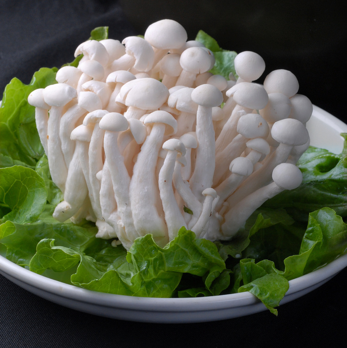 蘑菇香菇金针菇杂菇菌类美食素菜
