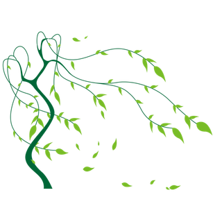 春天绿色春季水墨柳树柳条柳叶春季海报设计PNG免扣素材