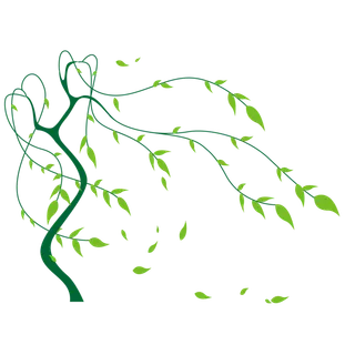 春天绿色春季水墨柳树柳条柳叶春季海报设计PNG免扣素材