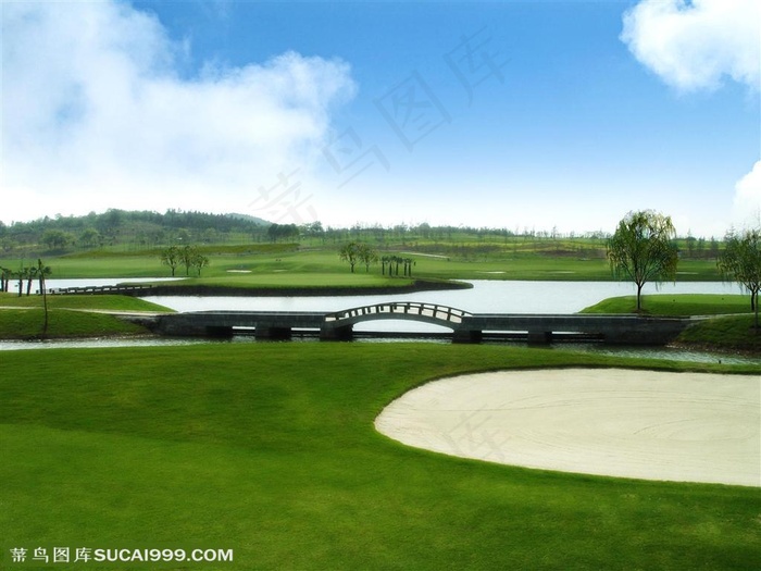 自然风景草原上的小桥