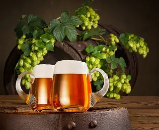 美味的啤酒饮料图