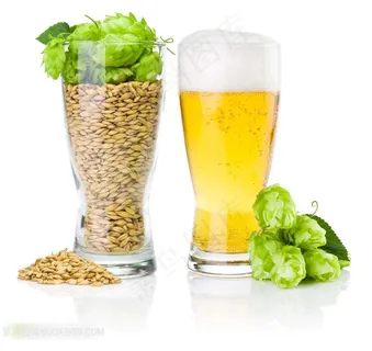 啤酒系列 - 新鲜的啤酒和原料 啤酒系列 - 新鲜的啤酒和原料