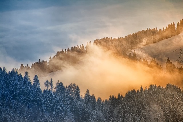冬天白雪背景风景
