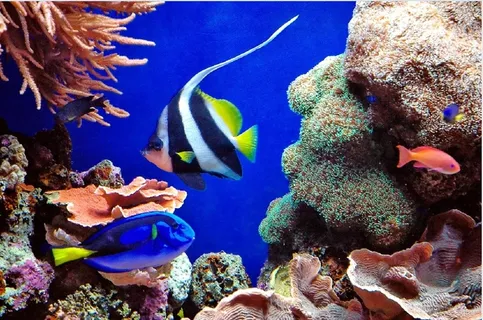 海边大海风景背景墙