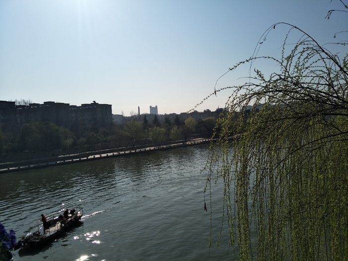春天的景色