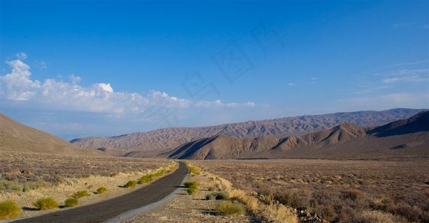 美国加州森林路径风景摄影
