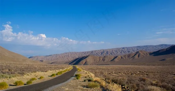 美国加州森林路径风景摄影 美国加州森林路径风景摄影