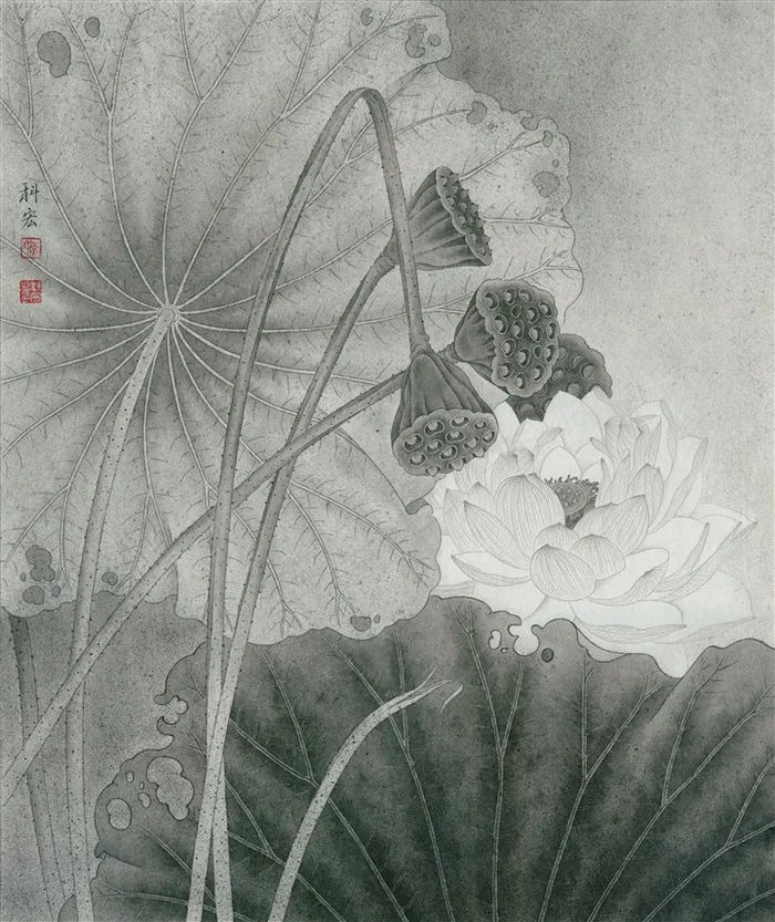 素颜清荷工笔画