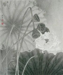 素颜清荷工笔画 素颜清荷工笔画