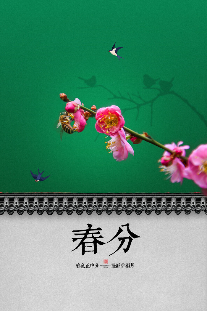 春分海报4psd模版下载